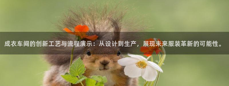 菲律宾天辰娱乐