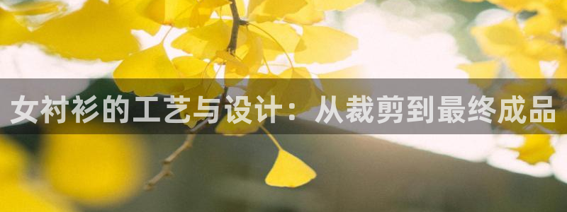 天辰娱乐网