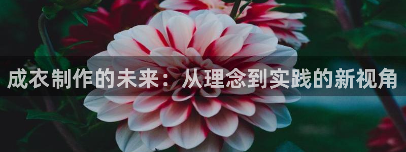 天辰娱乐APP下载