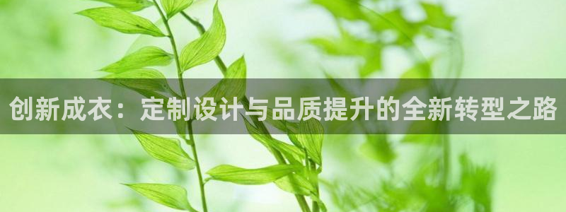 天辰娱乐官网平台下载