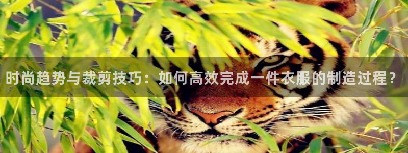 天辰娱乐跑的快