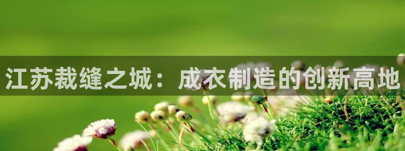 天辰娱乐视频