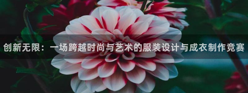 天辰娱乐51137