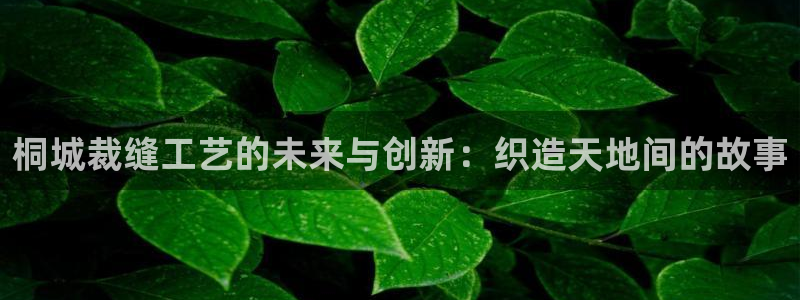 天辰娱乐官网平台入口