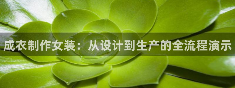 天辰娱乐_675138