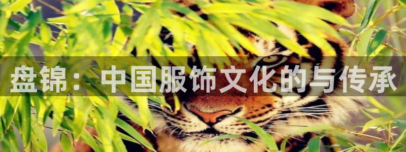 天辰娱乐公司