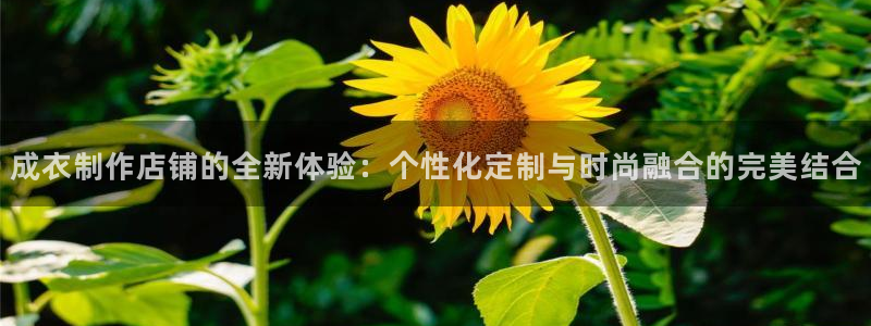 天辰登陆娱乐