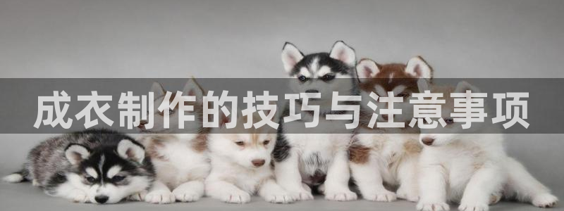 天辰水娱乐