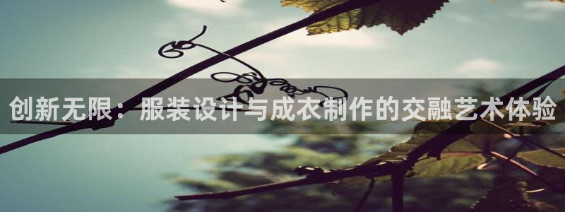 天辰娱乐输了