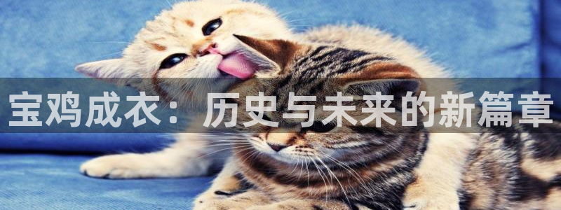 天辰娱乐软件