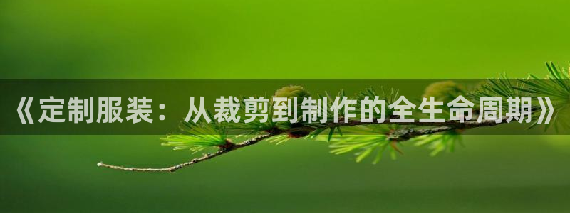 天辰娱乐在线