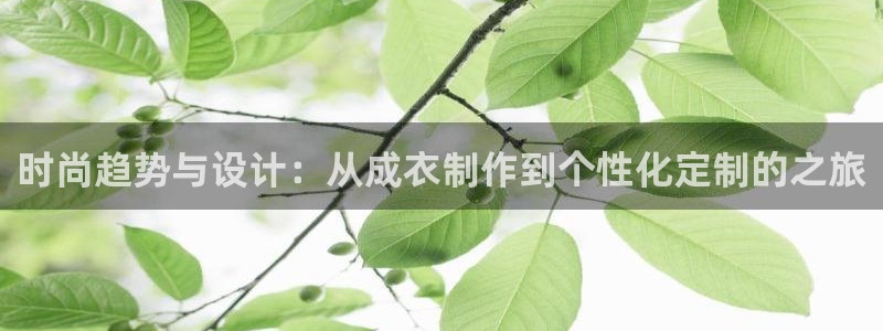 天辰娱乐公司