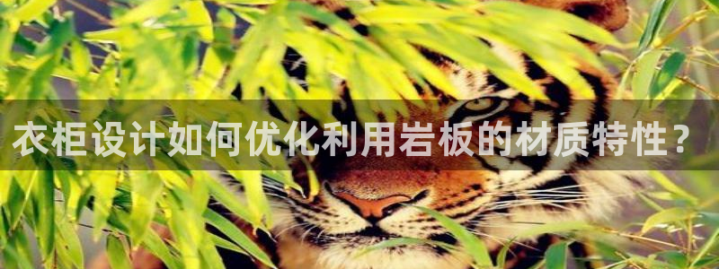 天辰娱乐1996