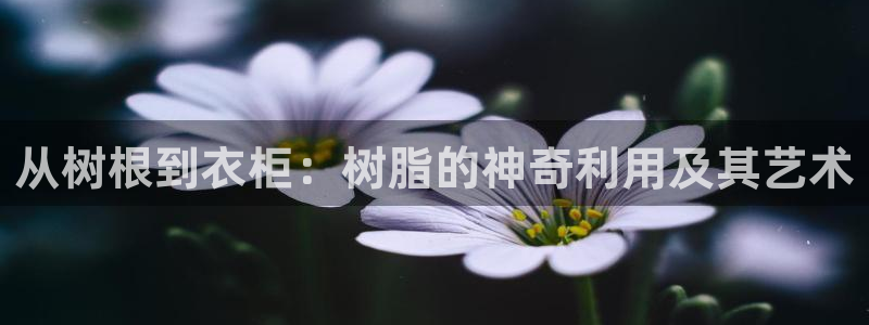 天辰娱乐官方登录下载