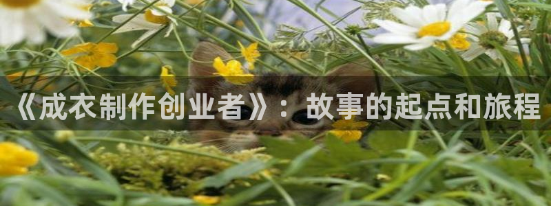 天辰(娱乐注册