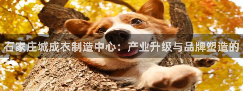 辰天娱乐用品