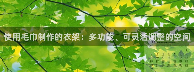天辰娱乐 849852