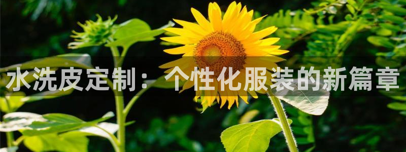 天辰娱乐登陆平台